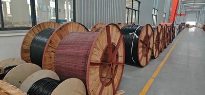 Shandong Jinyu Cable Co., Ltd. خط تولید تولید کننده